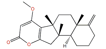 Hyrtiolacton A